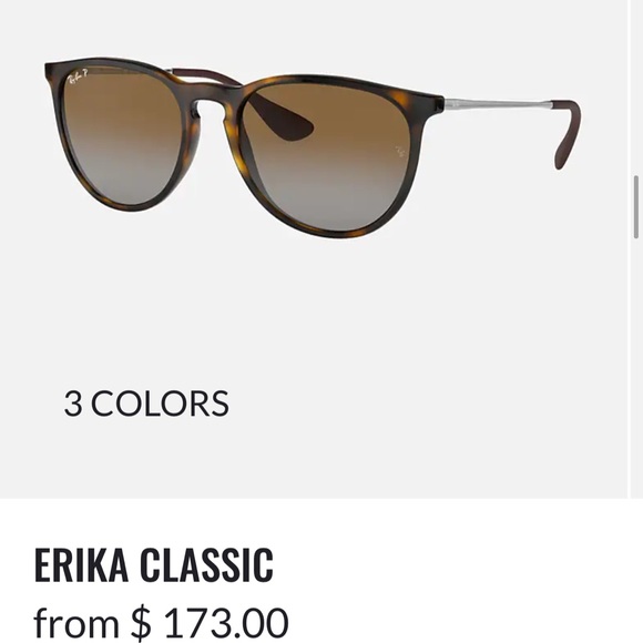 Ray-Ban polarized Erika sunglasses